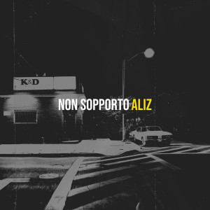 Aliz的专辑Non sopporto