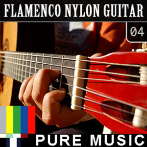 Album Flamenco Nylon Guitar, Vol. 4 from 