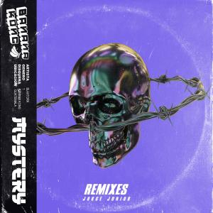 ดาวน์โหลดและฟังเพลง Mystery (Jorge Junior Remix) พร้อมเนื้อเพลงจาก Blaxtork