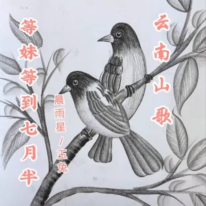 Listen to 等妹等到七月半 (伴奏) song with lyrics from 玉兔