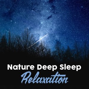 Deep Sleep Meditation的專輯Nature Deep Sleep Relaxation