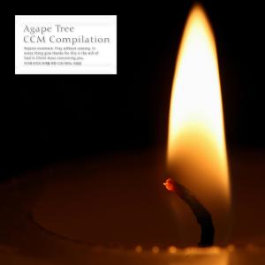 อัลบัม CCM Piano Collection for Agape Tree Repentance ศิลปิน Various Artists