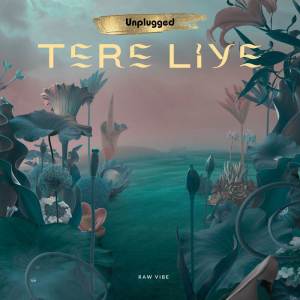 อัลบัม Tere Liye (Unplugged) ศิลปิน RAW VIBE