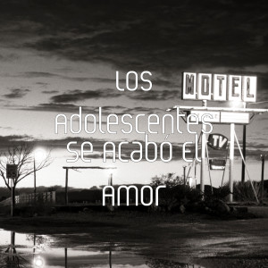 Album Se Acabó el Amor from Los Adolescentes
