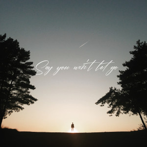 收聽DEMCHUK的Say You Won't Let Go歌詞歌曲