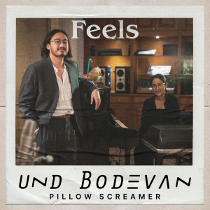 ดาวน์โหลดและฟังเพลง Pillow Screamer พร้อมเนื้อเพลงจาก Und Bodevan