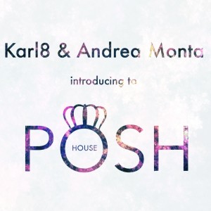 Listen to Posh House (Radio Edit) song with lyrics from Karl8