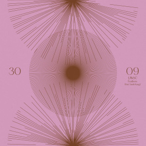 ดาวน์โหลดและฟังเพลง Feathers พร้อมเนื้อเพลงจาก LambC
