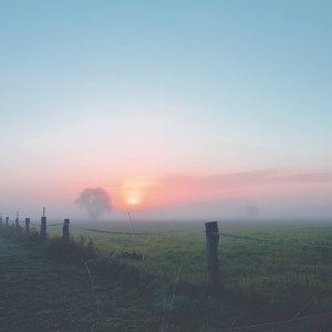 Dengarkan lagu Nature nyanyian Sleep Sounds of Nature dengan lirik