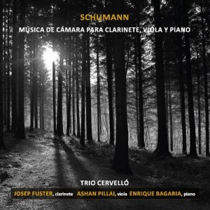 收聽Robert Schumann的Märchenbilder Op.113: IV. Langsam, Mit Melancholischem Adsdruck (其他)歌詞歌曲