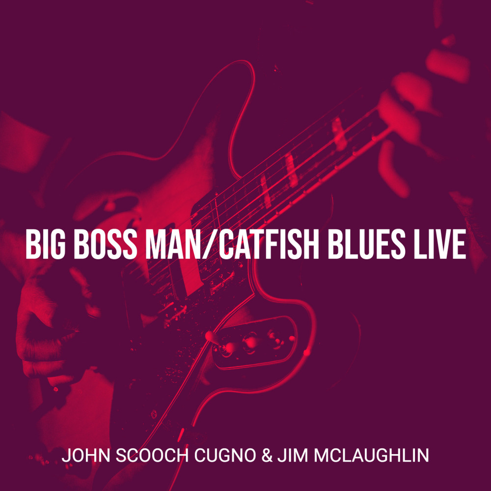 Big Boss Man/Catfish Blues (Live)