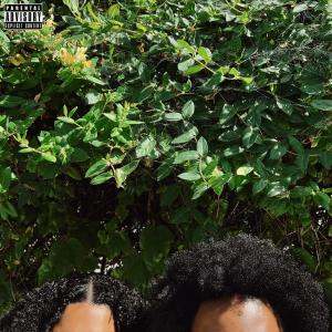 收聽SDNY的ONE STEP CLOSER (feat. Chris Wright) (REMIX)歌詞歌曲