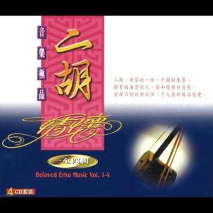 Dengarkan Medley : "天若有情 + 追夢人" lagu dari Instrumental Music dengan lirik