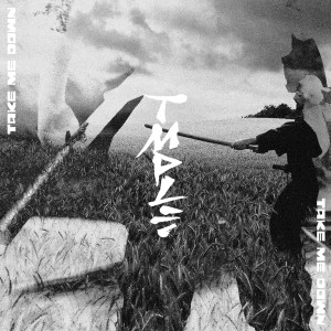 收聽TMPLE的Take Me Down歌詞歌曲