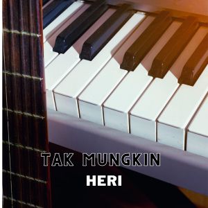 Listen to Tak mungkin song with lyrics from Heri