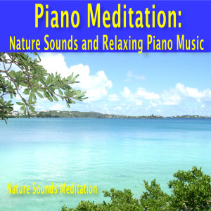 收聽Nature Sounds Meditation的Summer Sounds Piano Music歌詞歌曲