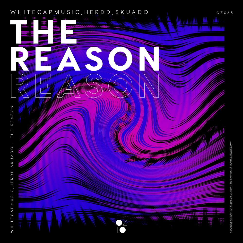 The Reason (Extended Mix)