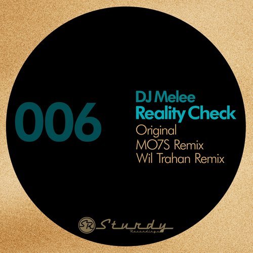 Reality Check (Wil Trahan Remix)