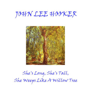 ดาวน์โหลดและฟังเพลง Black Snake พร้อมเนื้อเพลงจาก John Lee Hooker