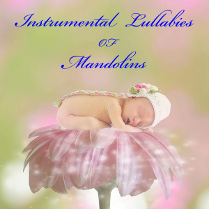 Casey Adams的专辑Instrumental Lullabies of Mandolins