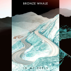 Album In My Feels from Bronze Whale