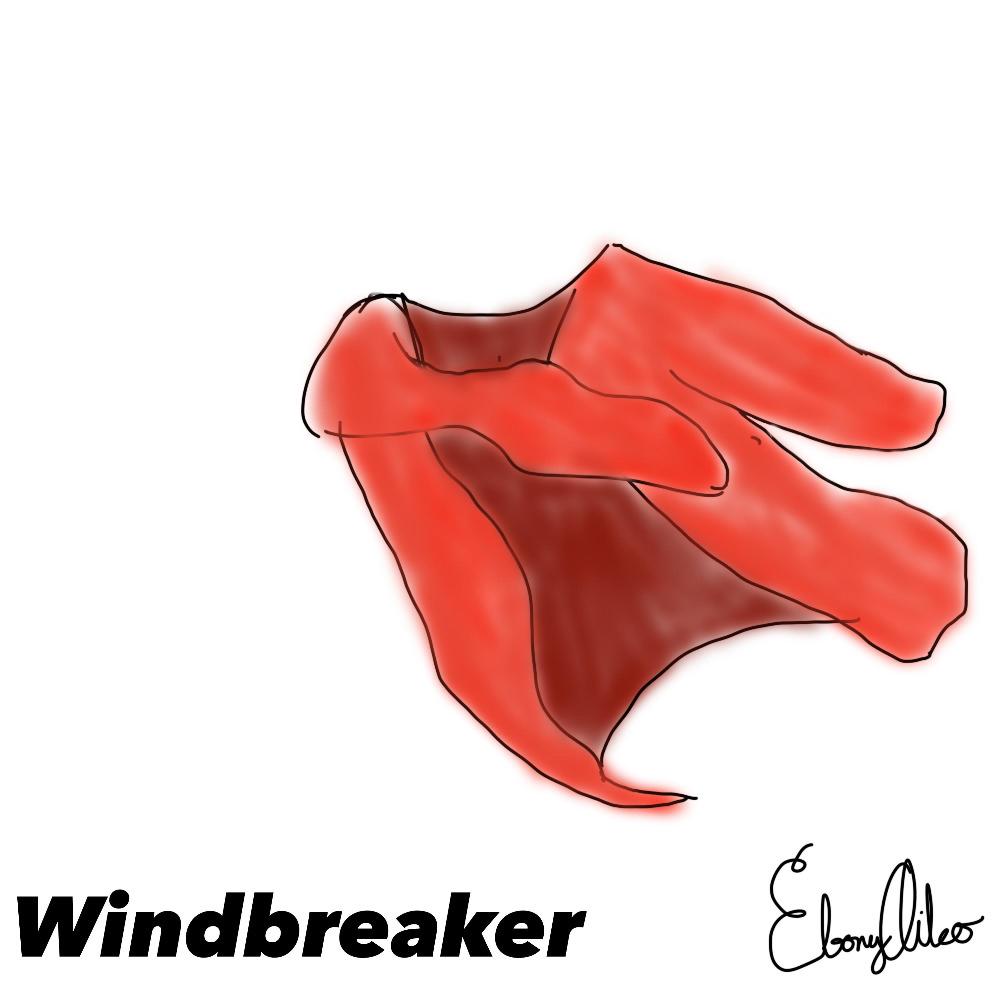 Windbreaker