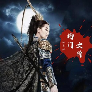 Album 杨门女将剧情版 from 杰歌