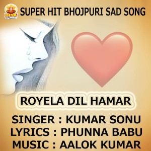 Listen to ROYELA DIL HAMAR song with lyrics from Kumar Sonu