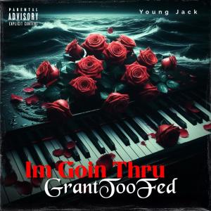 Young Jack的專輯Im Goin Thru (feat. Young Jack) [Explicit]