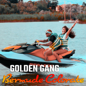 Album Bermude Colorate from Golden Gang