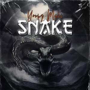 Dengarkan Snake (Explicit) lagu dari Young mahi dengan lirik