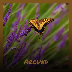 Listen to Around song with lyrics from Jayy Paan