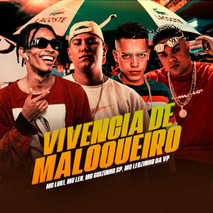 Listen to Vivencia de Maloqueiro (Explicit) song with lyrics from Mc Leh