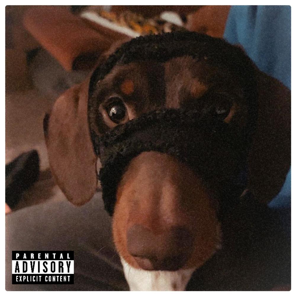 Dogg Dayz (feat. Blay) (Explicit)