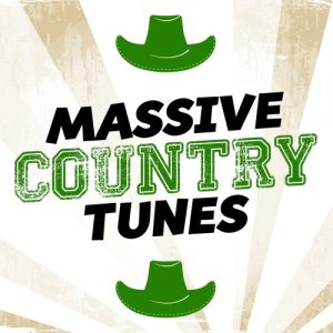 ดาวน์โหลดและฟังเพลง Suds in the Bucket พร้อมเนื้อเพลงจาก Country Rock Party