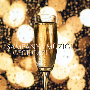 Listen to Şaşırtıcı Piyano song with lyrics from Enstrümantal Caz Akademi