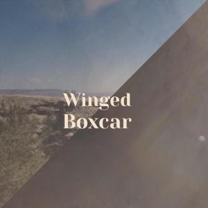 Album Winged Boxcar from Various