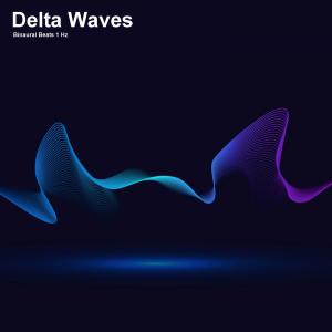 Album 1 Hz Binaural Beats Delta Waves oleh Frequency Vibrations