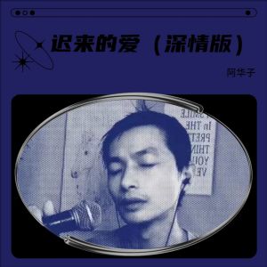 Listen to 迟来的爱（浪漫电子琴） (cover: 谭总) (完整版) song with lyrics from 阿华子