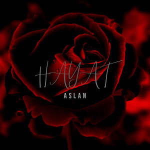 Album Hayat from 