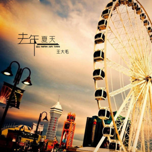 收听王大毛的去年夏天歌词歌曲