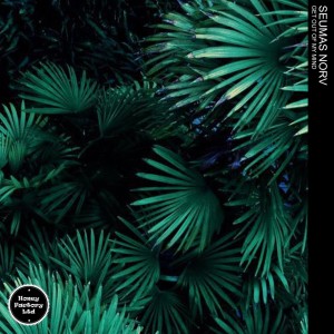 ดาวน์โหลดและฟังเพลง Get out of My Mind (Extended Mix) พร้อมเนื้อเพลงจาก Seumas Norv