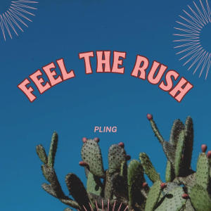 อัลบัม Feel the rush ศิลปิน Pling