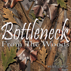 收聽Bottleneck的The Life歌詞歌曲