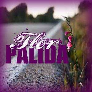 Listen to Flor Perdida song with lyrics from Luis Figueroa