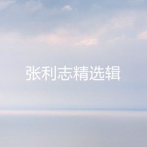 Listen to 删除记忆 song with lyrics from 张利志