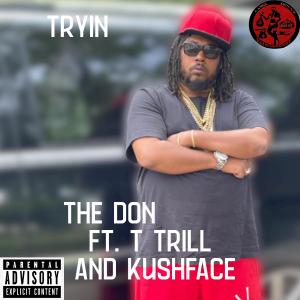 ดาวน์โหลดและฟังเพลง Tryin (feat. T Trill & Kushface) (Explicit) พร้อมเนื้อเพลงจาก The Don