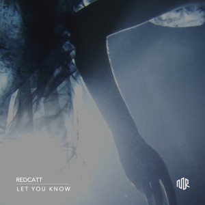 Listen to Let You Know song with lyrics from Redcatt