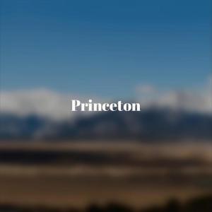 Listen to Princeton song with lyrics from Joon Paeh