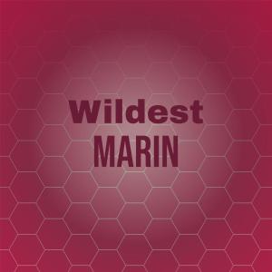 อัลบัม Wildest Marin ศิลปิน Various